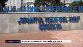 VIDEO Virusul West Nile a omorât un om în Suceava. Boala este transmisă de țânțari